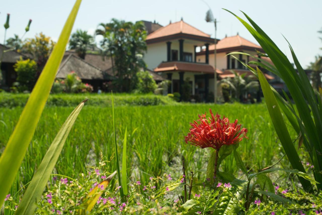 Puji Hostel And Bungalow Ubud Экстерьер фото